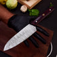 Damascus Steel 5pc Cooking Knife Set - BBQ Indoor/Outdoor Kitchen Knives, Chef Santoku Utility Knife, Handmade Camping Damascus Blade