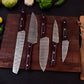 Damascus Steel 5pc Cooking Knife Set - BBQ Indoor/Outdoor Kitchen Knives, Chef Santoku Utility Knife, Handmade Camping Damascus Blade