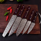 Damascus Steel 5pc Cooking Knife Set - BBQ Indoor/Outdoor Kitchen Knives, Chef Santoku Utility Knife, Handmade Camping Damascus Blade