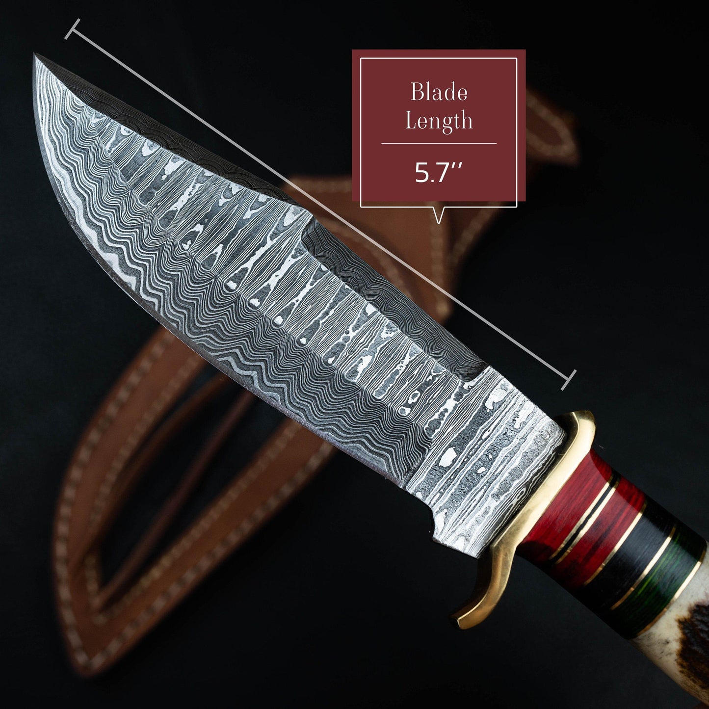 10' Inch Handmade Damascus Steel Hunting knife Handle Stag Horn leather Sheath Handle and Clip, Hand forged Damascus knife Non slip Brass Etsy 